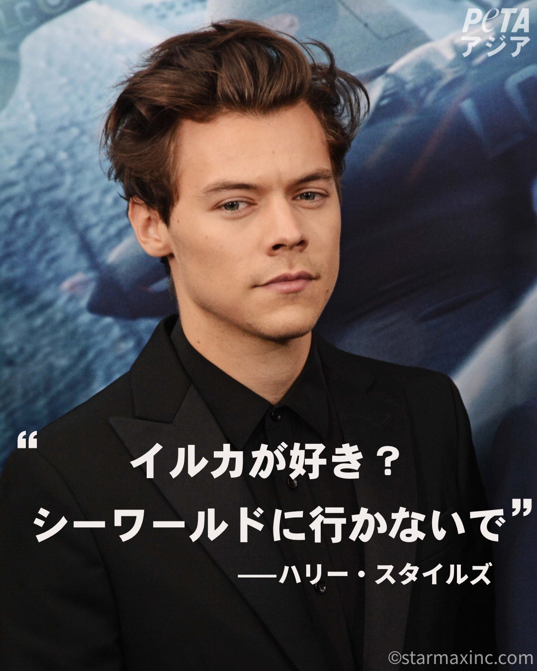 Petaアジア ワン ダイレクションのボーカル ハリー スタイルズが シーワールドの地元サンディエゴで行われたライブで イルカ が好きな人はいるか と観客に尋ねて シーワールドに行くな と伝えたことは有名です T Co Qvkpsvha6j Twitter