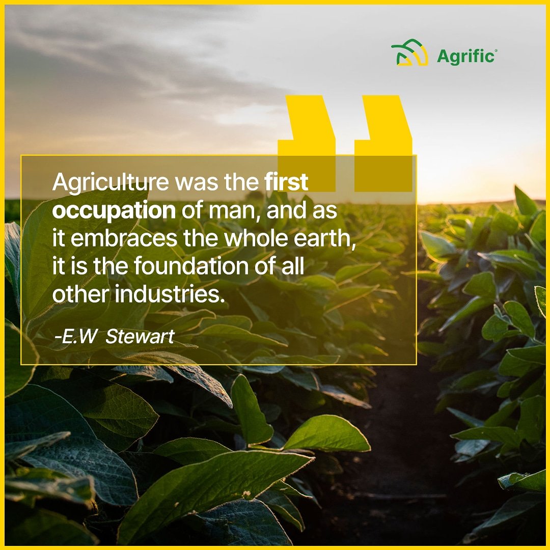 AineeKhankhel's tweet photo. True Indeed 👍#Agriculture #backboneofeconomy #farming https://t.co/ZYu3o2YJvr