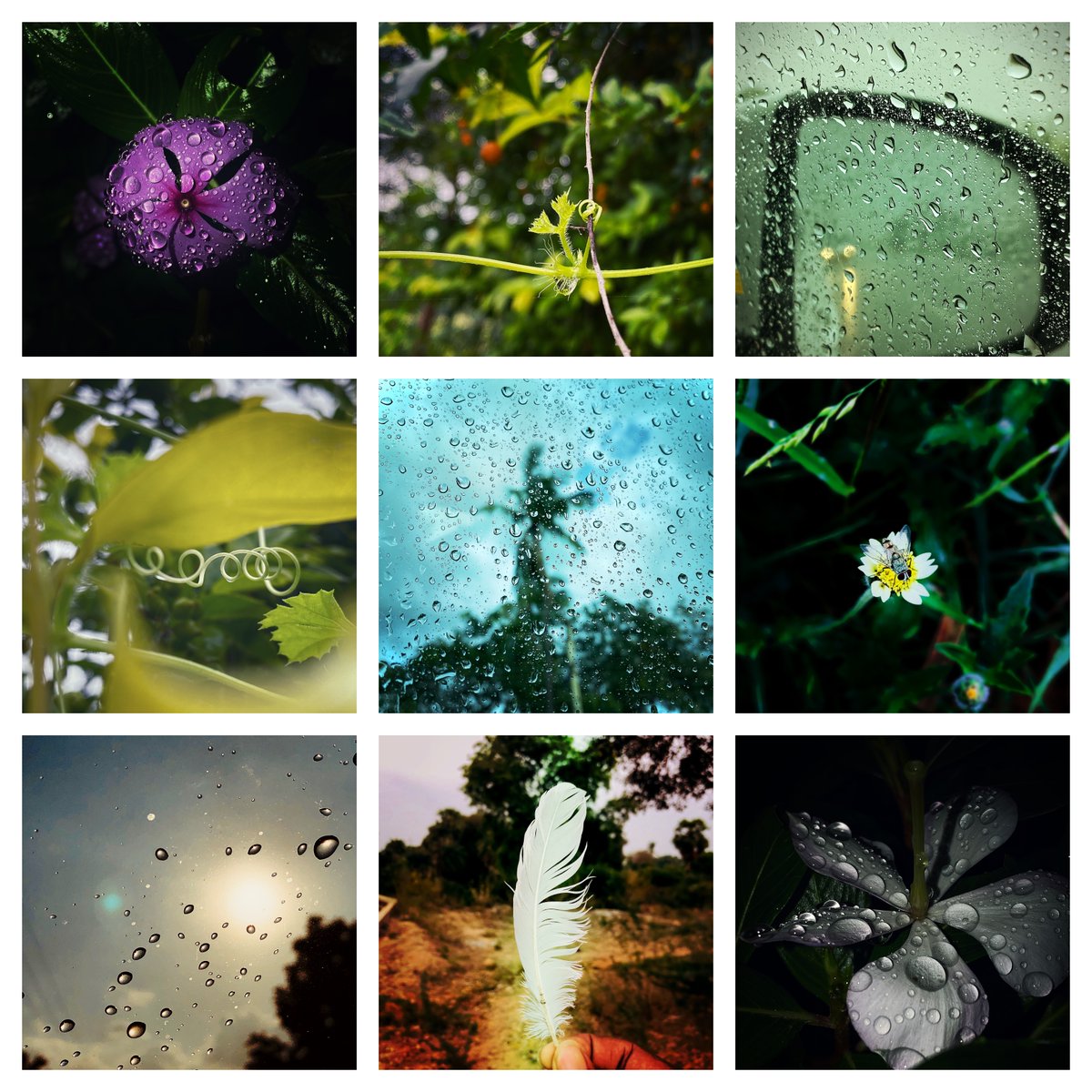 stephen_gsn's tweet photo. Hi, 
Am Stephen and Check out my collection in Opensea. 
Photography collections &amp; Price - 0.03 eth
Other collections. Price - 0.004 eth
https://t.co/bUKSzwFY3J https://t.co/OCFSpdOh25