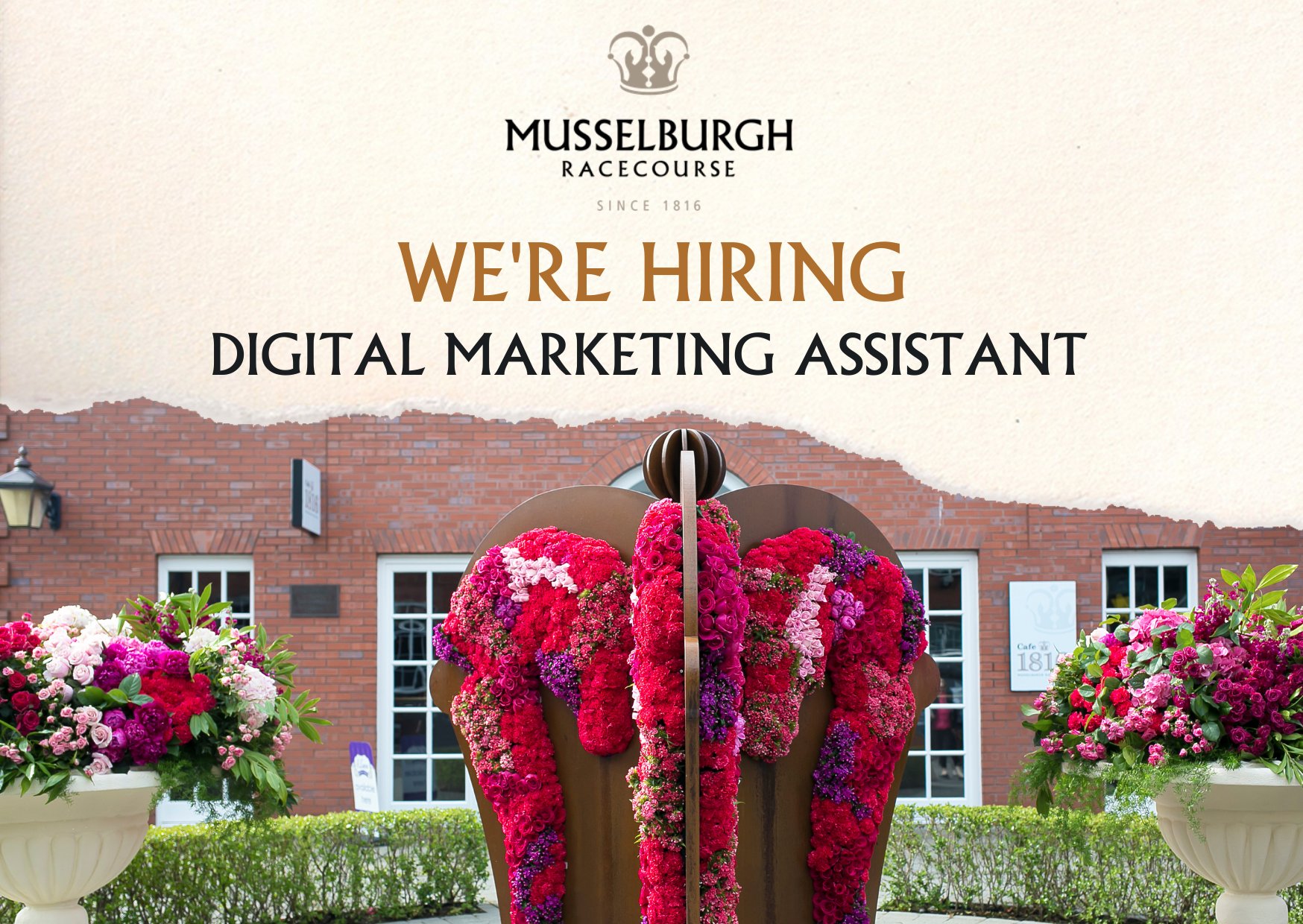 Rory Innes (@RoryInnes77) / Twitter