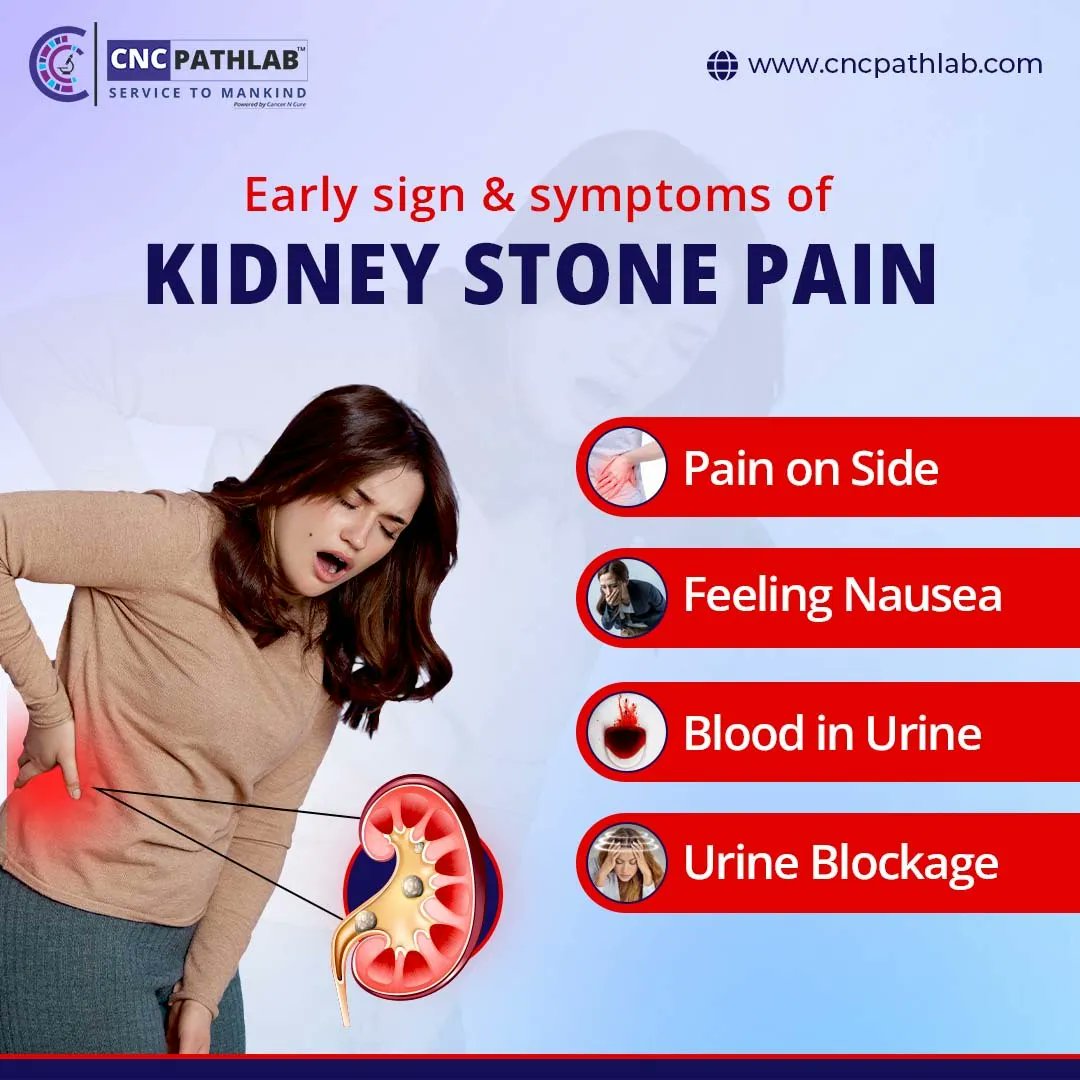 cnc_pathlab's tweet photo. Book Your Test With CNC Path Lab. Get Accurate Reports on time. Call now to book tests. Safe & Secure Kidney Function Test at Home
For More Information
Visit: https://t.co/VdcNub8jan
#kidneytesting #kidneytests #kidneytest #kidneytestimony #kidneytestavailable https://t.co/sB05P9KPlb