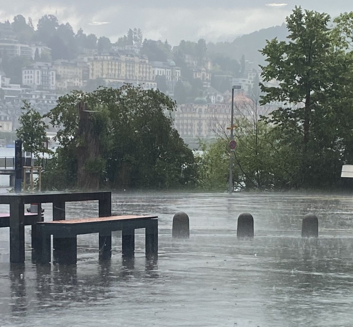 Wunderbares Wetter heute. 🦆🦆 Perfekt zum lernen! שלום #regen #sommerregen #drinnenbleiben #lernen #prüfungen2022 #hebräisch