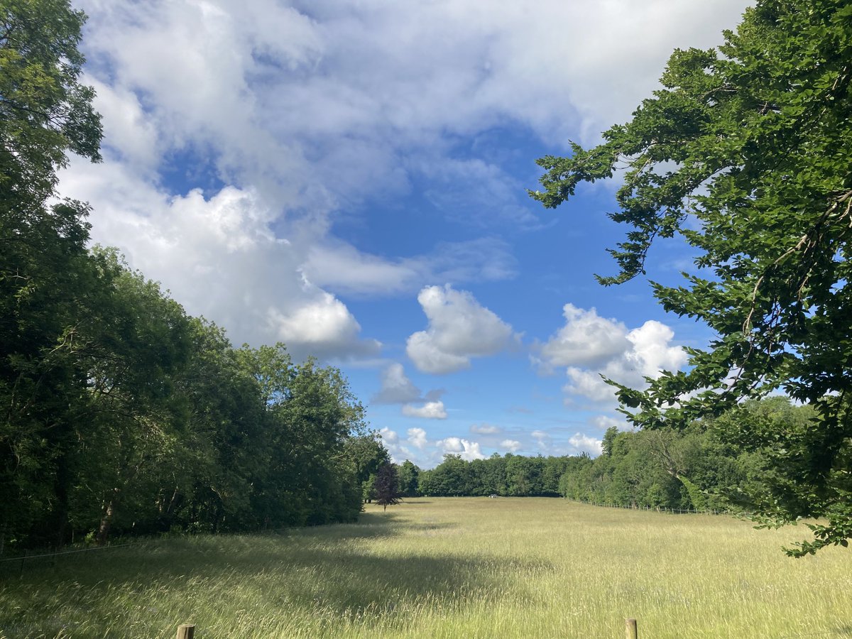 arillustrate's tweet photo. Good morning #wakeupwalk @WandleburyWoods #walk #happymonday https://t.co/FCFcFGYGH8
