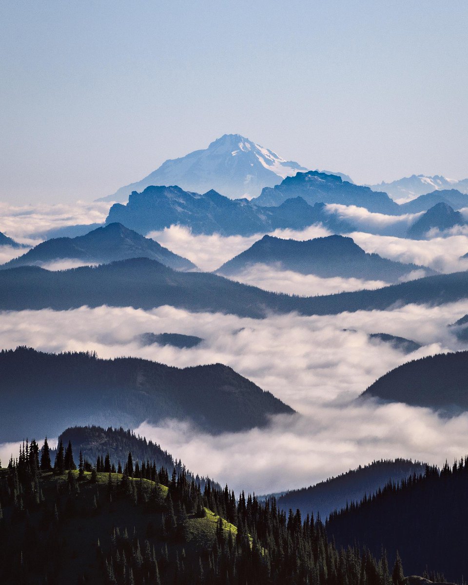 wespornow's tweet photo. Layers on layers seen hiking around Mt Rainier.
Pic from: u/ross-svh-photo
.
#hikingadventures #photography #hikingphoto #wespornow https://t.co/RBqFBq7C7g