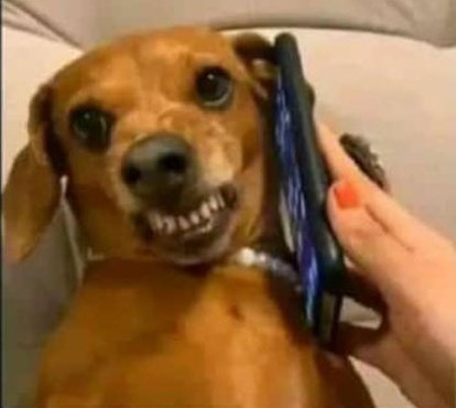 Police: Ambia babako tumekupata na bangi

Me: Dad tulikua campaign ya Wajackoyah