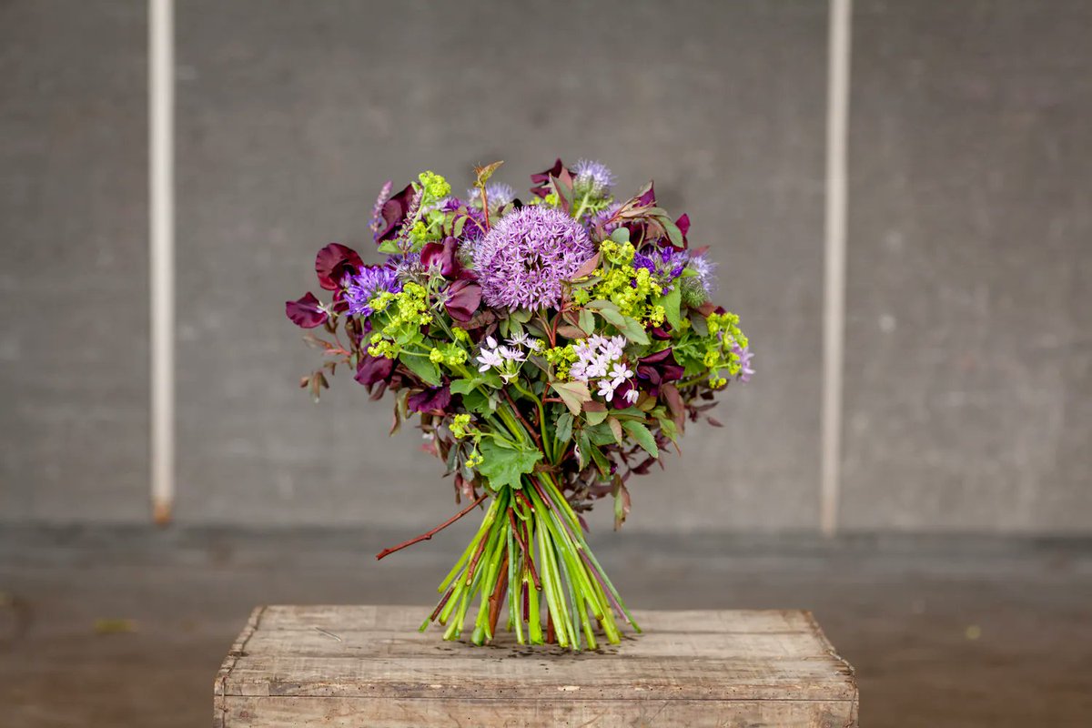 It's #BritishFlowersWeek an annual, national celebration to showcase the wealth and variety of British cut flowers, plants &amp; foliage. The idea was founded by <a href="/MarketFlowers/">Flower Market</a> to raise awareness of British flowers and encourage people to buy more British flowers. Enjoy the week! 💐