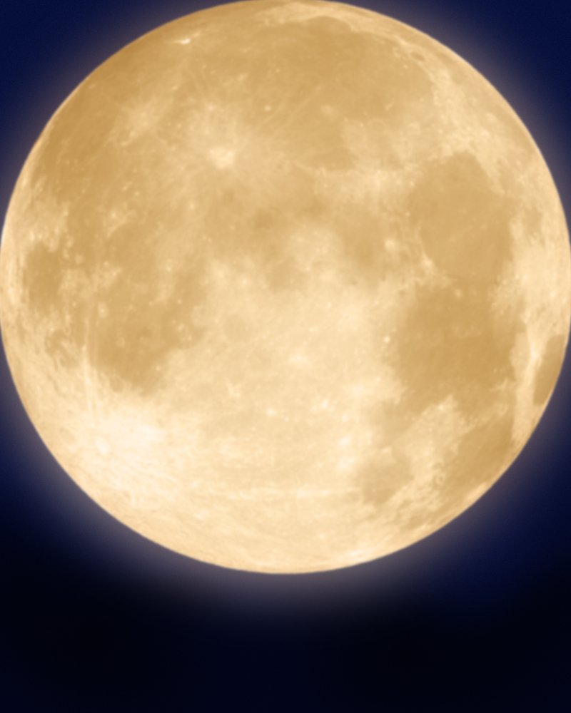 ShoehornProduc1's tweet photo. GET YOUR TICKETS TODAY!
https://t.co/AiNU0UnSgP

The midnight moon hangs low.

They will be here soon.

All will be revealed. https://t.co/EqtSPxJoUj