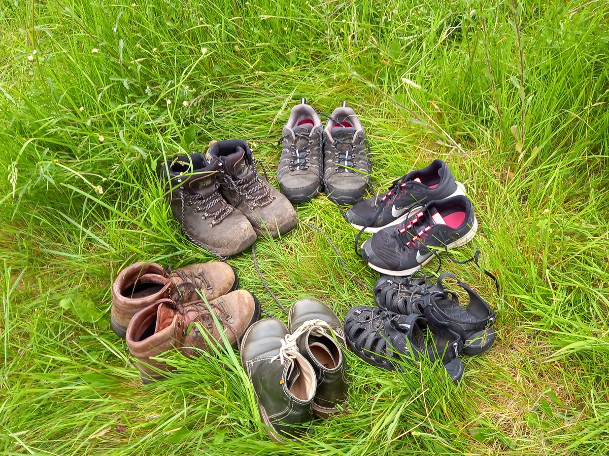 Halstead 21st Century Group 🍃💚🍃 tweet media