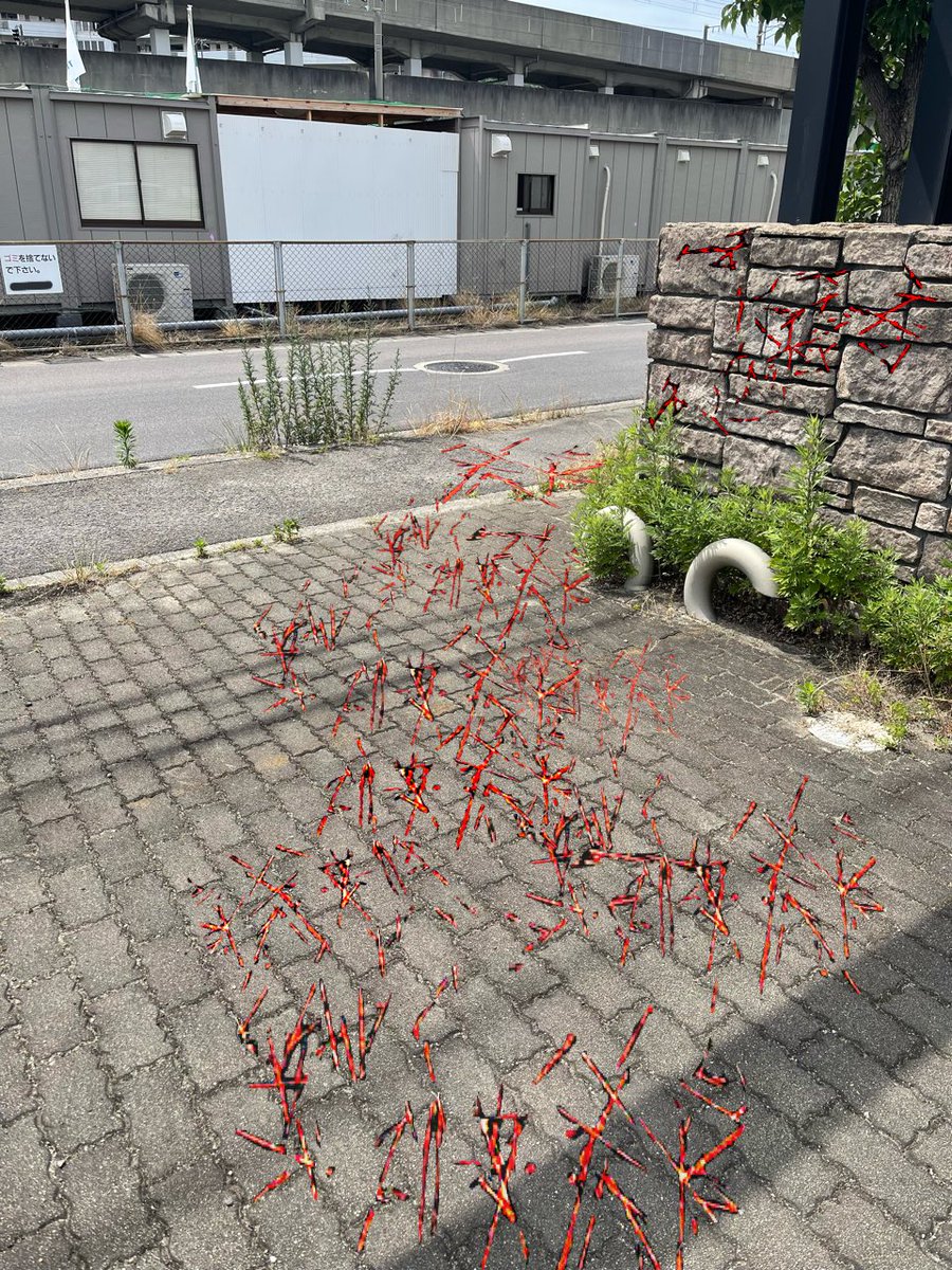 ORAFU_dbd's tweet image. DBDって現実にも影響するんだよ(末期)