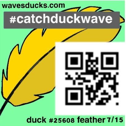 julytpdl's tweet photo. #catchduckwave 
@mesocgau https://t.co/C2r2NGbNWq