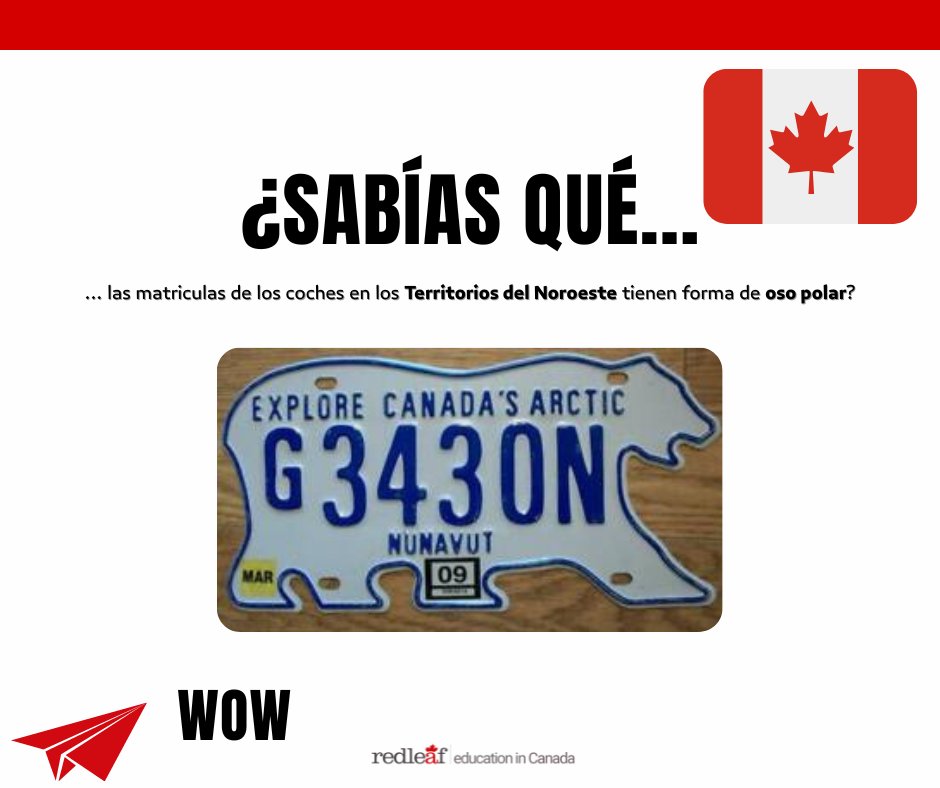 Red_Leaf_Spain's tweet photo. #Monday #Monday #Monday
#RLFunFacts by #RedLeaf 🇨🇦🤔 https://t.co/Y4FsCoyZDS
