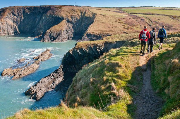 visitcardiff22's tweet photo. Experience The Wales Coastal Path this Summer! ☀️

Wales is the only Country with its own Dedicated Coast Path in the world! With Sunny Weather this summer there is not a more perfect time to experience the Country Side, Nature and Sublime Views across the Coastal! 🏞️ 

#Cardiff https://t.co/FVLWLaZCbU