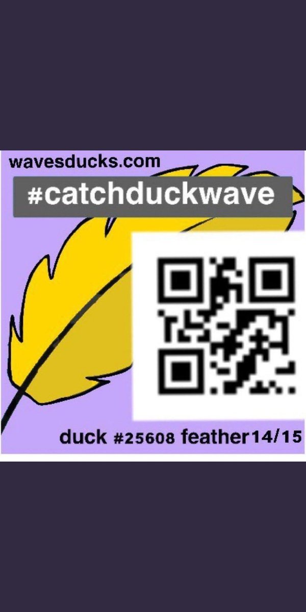 julytpdl's tweet photo. #catchduckwave 
Feather 14
@mesocgau @anhhai901 https://t.co/IxKdc9xrUq