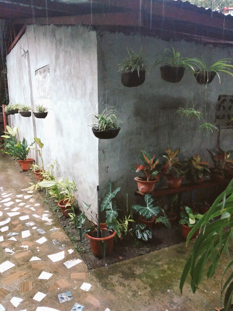 It's raining day☔
