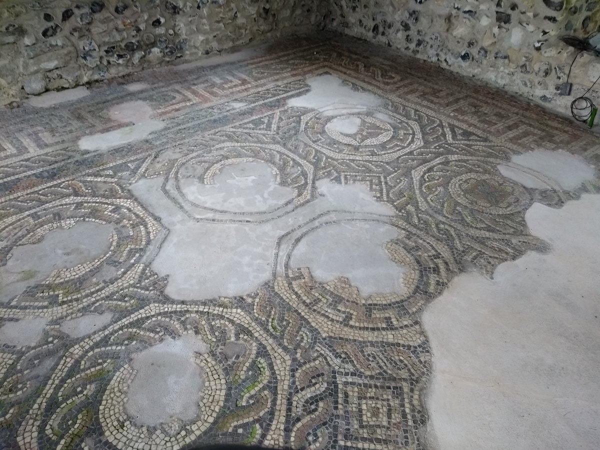 WittsPat's tweet photo. Before the #ASPROM gathering in Dorchester ended yesterday, we enjoyed a tour of the Colliton Park Town House and its mosaics by Steve Wallis, Senior Archaeologist with @DorsetCouncilUK. Interesting to hear about the development of the house and the excavations. #MosaicMonday https://t.co/SVYnb8b0Ze