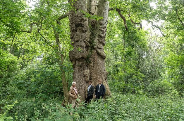 Is this the tree that inspired Handel? Conservation Foundation director David Shreeve tracks down the London Plane that may have moved the great composer to write one of his most loved arias.
conservationfoundation.co.uk/is-this-the-tr… 
#handel #opera #planetrees
<a href="/operahollandpk/">Opera Holland Park</a>