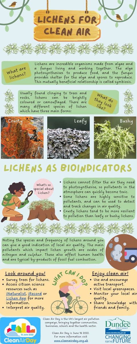 Did you know? Lichens are clean air bioindicators! Have you spotted any around your neighbourhood? #CleanAirDay #Biodiversity #Bioindicators #Lichen #nature