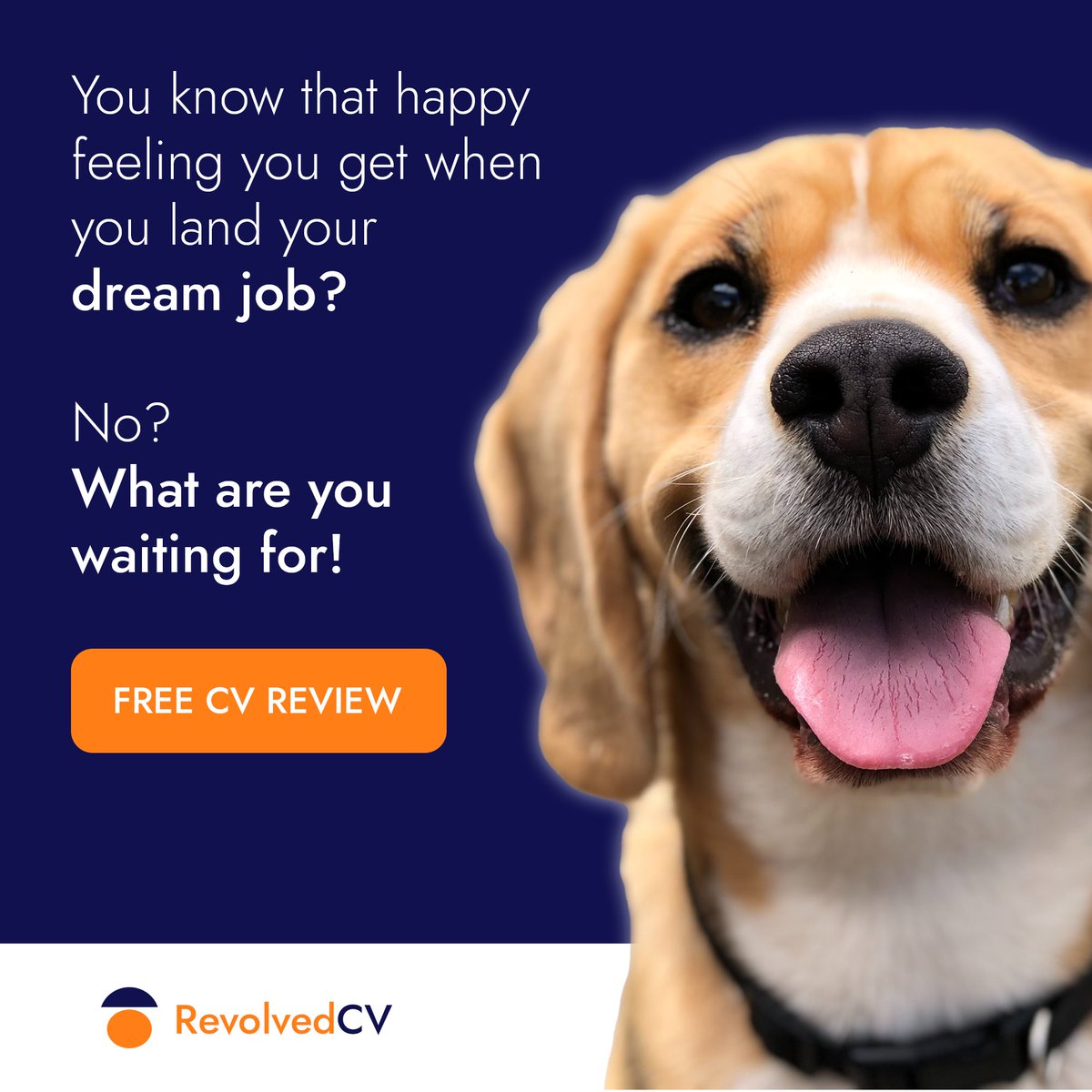 RevolvedCV's tweet image. Nothing beats that feeling of landing your dream job - and if you want to experience that for yourself, let us help you on your journey by revamping your CV.

See how we can help on your career journey at revolvedcv.com

#cvwriting #careersadvice #jobseekers