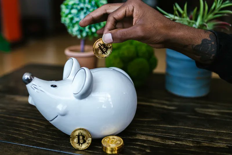 ChestnutWealth's tweet photo. "How to Invest in a Volatile Stock Market: 5 Investment Strategies for Investors" - 👉🏾 https://t.co/vKqgOHDqyw | #chestnutwealth #fintech #GrowYourChestnut https://t.co/Wit43PhdJa