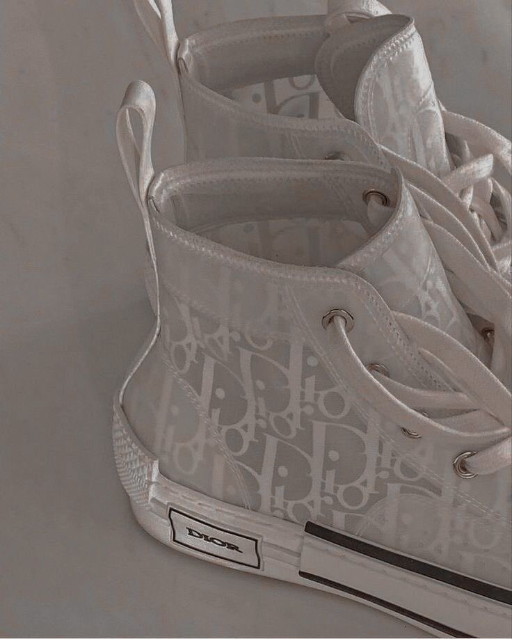 dior b23