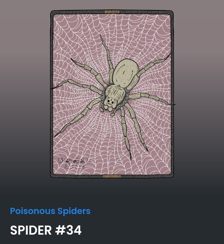 Take a look at these spiders #NFTCommmunity 🥰 they are available at only 0.0025 $ETH, take the opportunity and get your favorites before floor price go up😇💕🚀
-
#nftart #NFTcollectibles #NFTProject