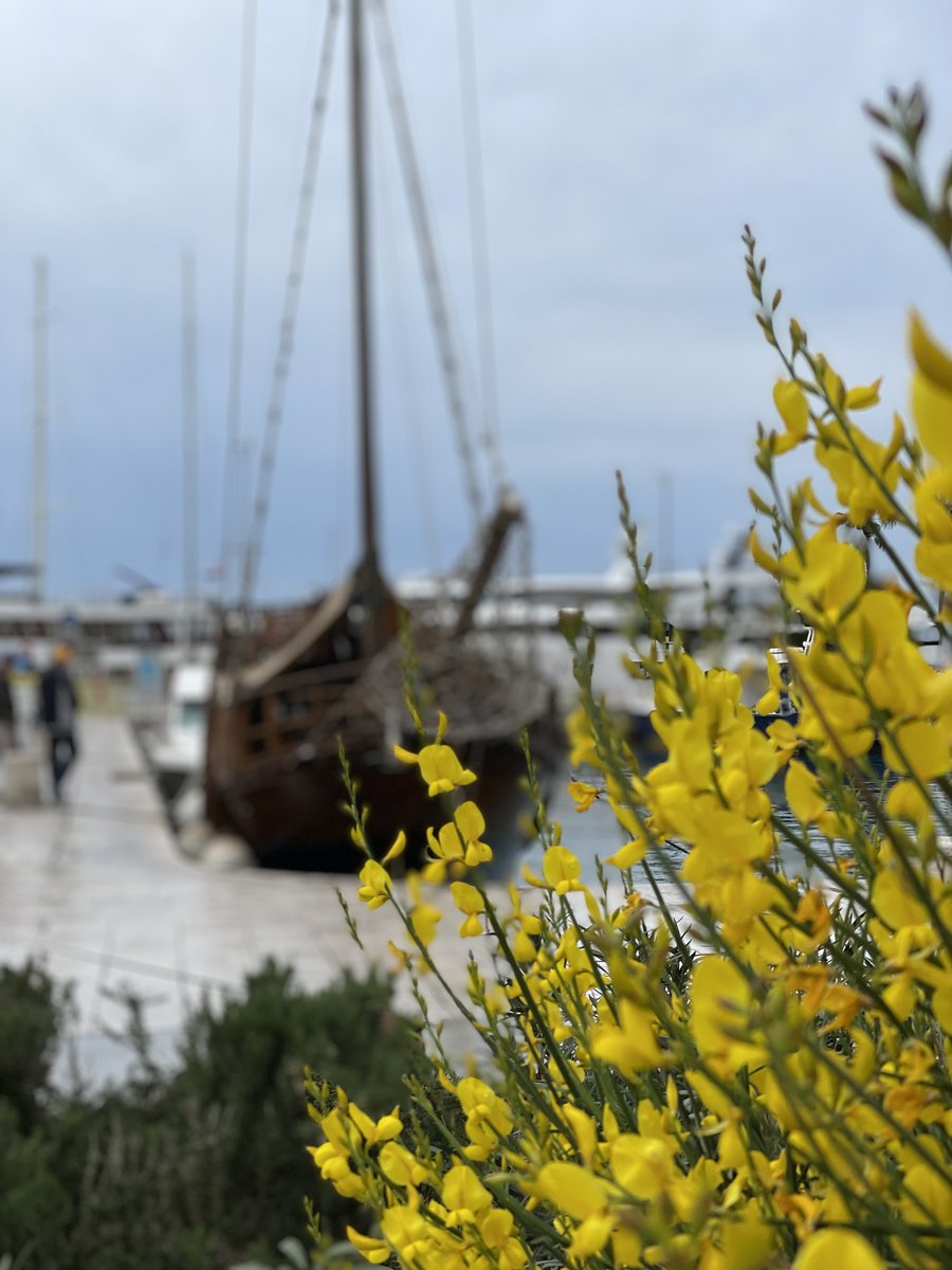 hibbskatherine's tweet photo. #croatiafulloflife #visitsplit #visittrogir #visitbrac
https://t.co/DjHcjDxAEC https://t.co/F5NAHXTqju