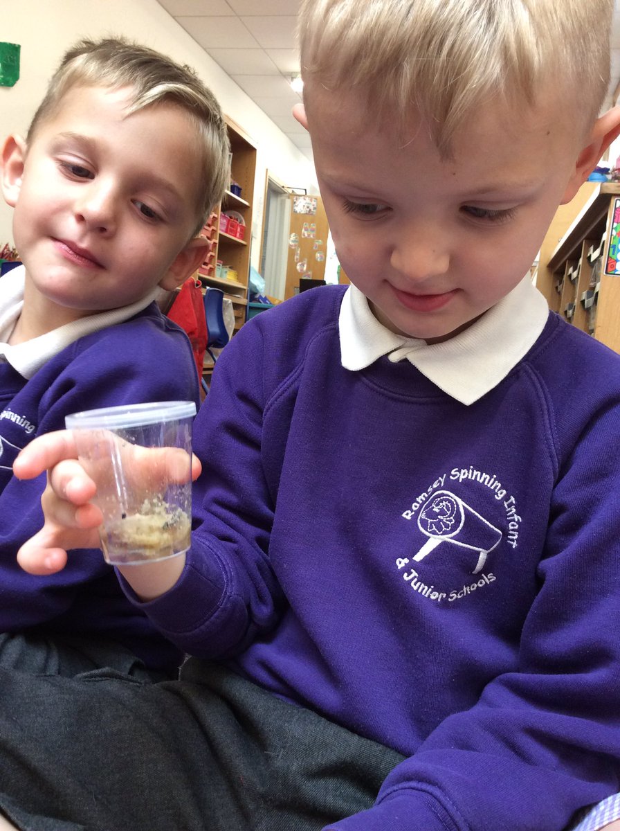 Spinning Infants tweet media