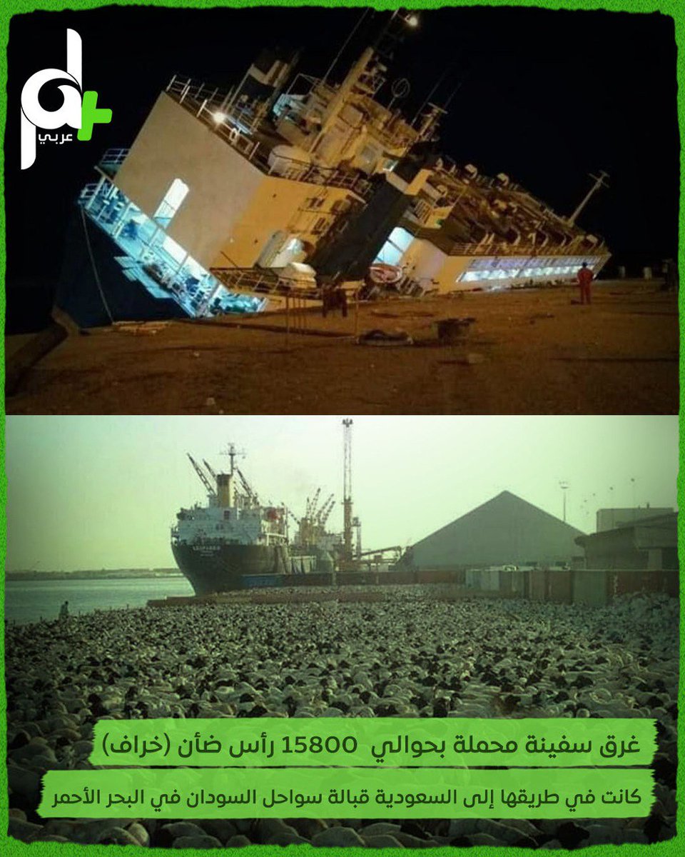 palplusarabi's tweet photo. غرق سفينة محملة بحوالي  15800 رأس ضأن (خراف) كانت في طريقها إلى السعودية قبالة سواحل #السودان في #البحر_الأحمر https://t.co/gsw22ZYXl1