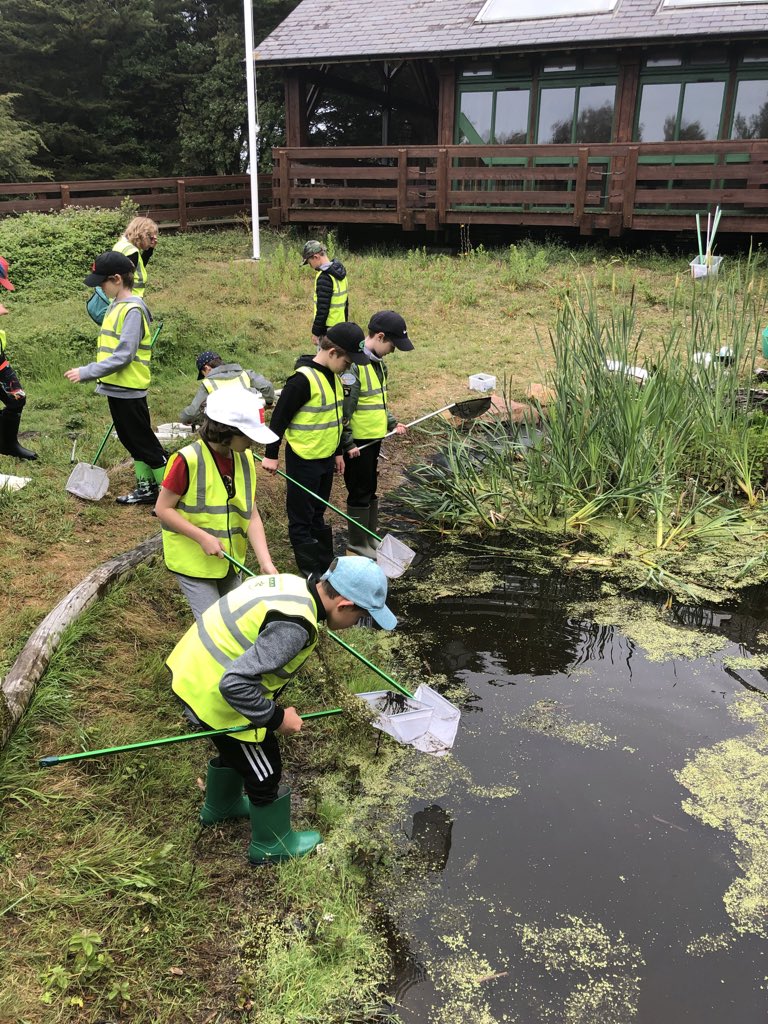 DLSjsyPrimary's tweet photo. Pond dipping and visiting the Bird Hide remain some of the #DLSYear4 highlights of our annual visit to the Jersey Scout Centre. Lots of #DLSHappy children, immersed in nature, using their #DLSScience skills. #DLSEducated https://t.co/cO5kAi1sVa