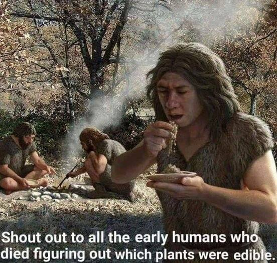 Defiel2's tweet photo. #survival #meme https://t.co/6BL411s0Cj