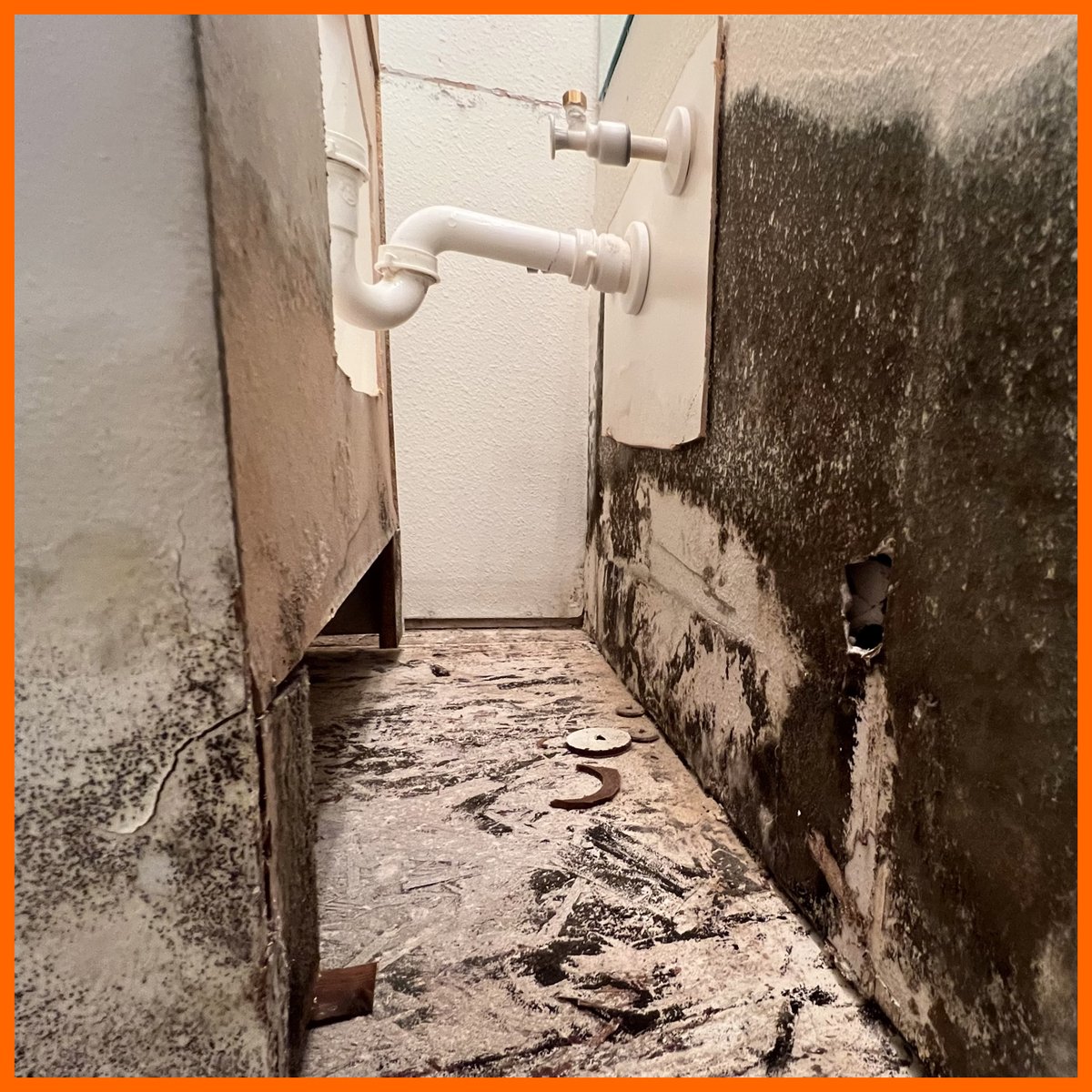 #MoldMonday It is important for water damage to be properly treated as it will almost always allow mold to form over a period of time
