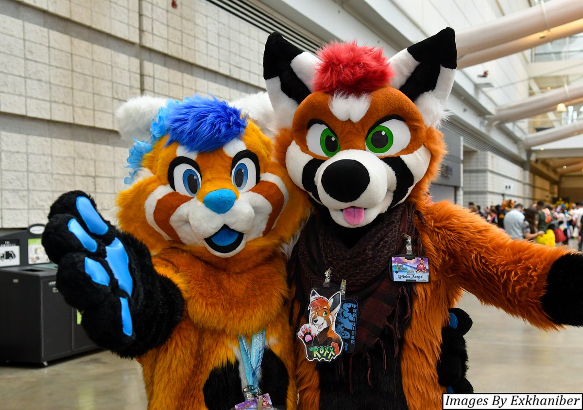 anthrocon's tweet photo. Are you a minor (under the age of 18) and planning to attend #Anthrocon? Don't forget to have a minor consent form filled out and brought to Registration! There are additional policies for minors depending on your age! 

https://t.co/7K13NbLxEg 

Photo: https://t.co/Rs0EdPkgWv https://t.co/RVEZyJ0ODY