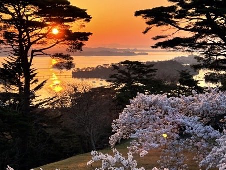 bartvs2021's tweet photo. #FISHE 🐠 #fishestoken 🐡
桜🌸の季節の #日本三景 #松島 のキレイな朝でも見て癒されて💖

皆んな宮城においでよ❣️ https://t.co/1G1MJv3ojB