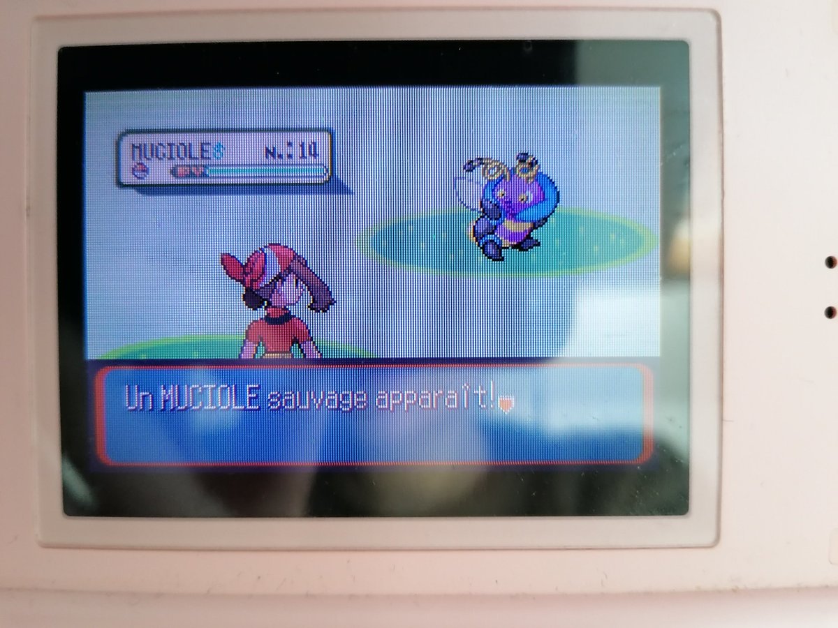 NyralliaSH's tweet photo. P'tit Muciole shiny après 14082 rencontres sur ma shasse de Rosélia!
Un très beau shiny pour commencer la VGS 6. Allez les Poisseux ! https://t.co/5SsqPXLVR2