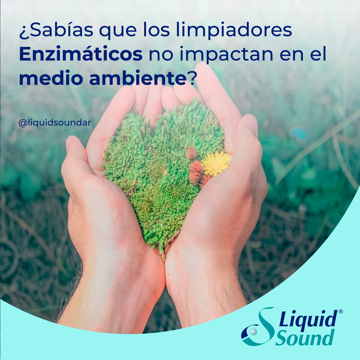 Liquid Sound tweet media