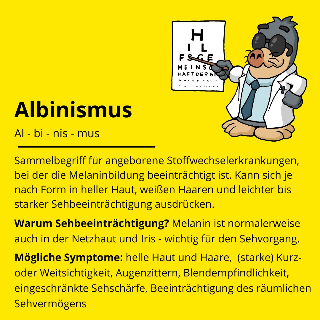 hggezwitscher's tweet photo. “Mit vereinten Kräften unserer Stimme Gehör verschaffen” ist das Motto des heutigen #AlbinismDay. Hier ein paar Infos über Albinismus und was das mit den Augen zutun hat.
#UnitedInMakingOurVoiceHeard #inclusion4equality #AlbinismDay #ILookOutForAlbinism #MadeToShine #albinismus https://t.co/KqKBeZnRMf