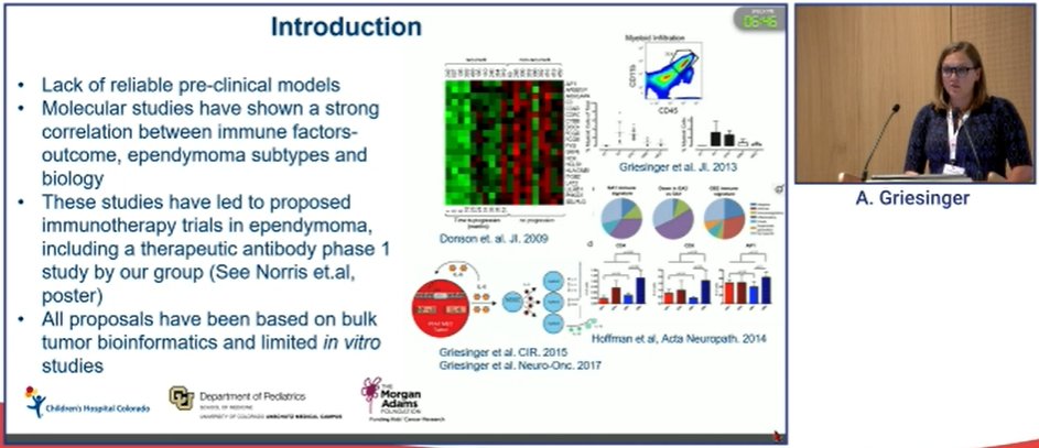 MorganAdamsFdn's tweet image. Andrea Griesinger is presenting at #ISPNO2022 in Hamburg right now! The Foreman Lab is doing amazing work to develop a humanized immune system ependymoma PFA model
