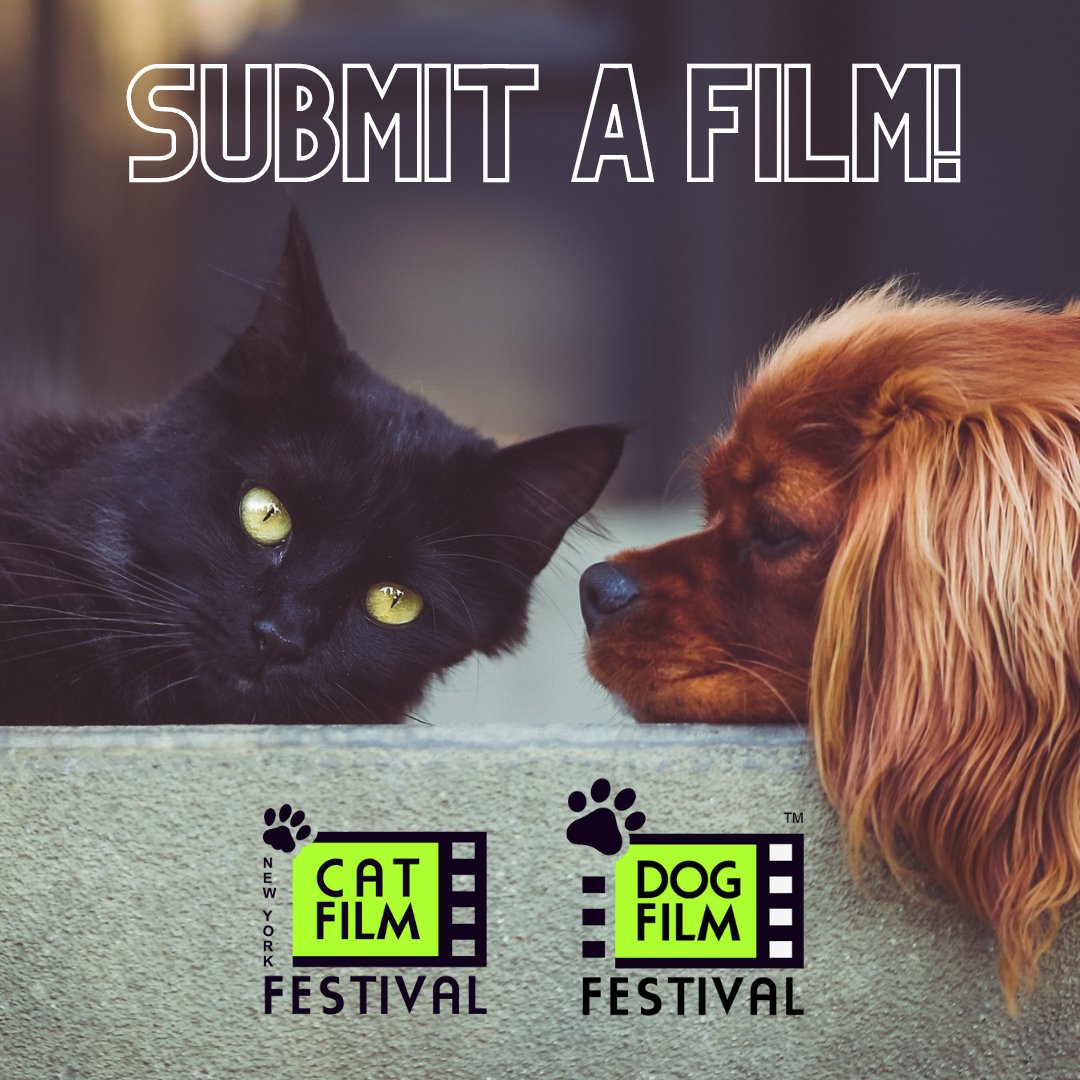 ATTENTION FILMMAKERS: The JUNE 15th deadline for submissions for the 7th annual Dog Film Festival and the 5th annual Cat Film Festival is almost here but it's not too late to send in your film for 10/23 showing in NYC!

DFF: bit.ly/3xHhfND
CFF: bit.ly/3MMi641