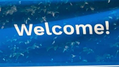 uStMikes's tweet photo. 👋Please allow us to introduce the new faces waiting to welcome you back to campus...an inspiring group who will serve our students and broader community well.
#StMikes180 #SMCOne #OasisInTheCity https://t.co/8Ws5d4vZQa https://t.co/WHA2GAVNP9