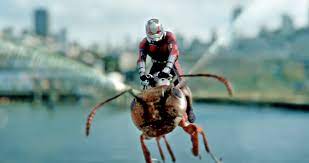 Stuart West (@stuwest8) on Twitter photo Join us! 3 year post-doc, comparative studies of social evolution, especially in social insects <a href="/Gijsbertwerner/">Gijsbert Werner</a> <a href="/AshleighGriffi6/">Ashleigh Griffin</a> my.corehr.com/pls/uoxrecruit… Join us! 3 year post-doc, comparative studies of social evolution, especially in social insects <a href="/Gijsbertwerner/">Gijsbert Werner</a> <a href="/AshleighGriffi6/">Ashleigh Griffin</a> my.corehr.com/pls/uoxrecruit…