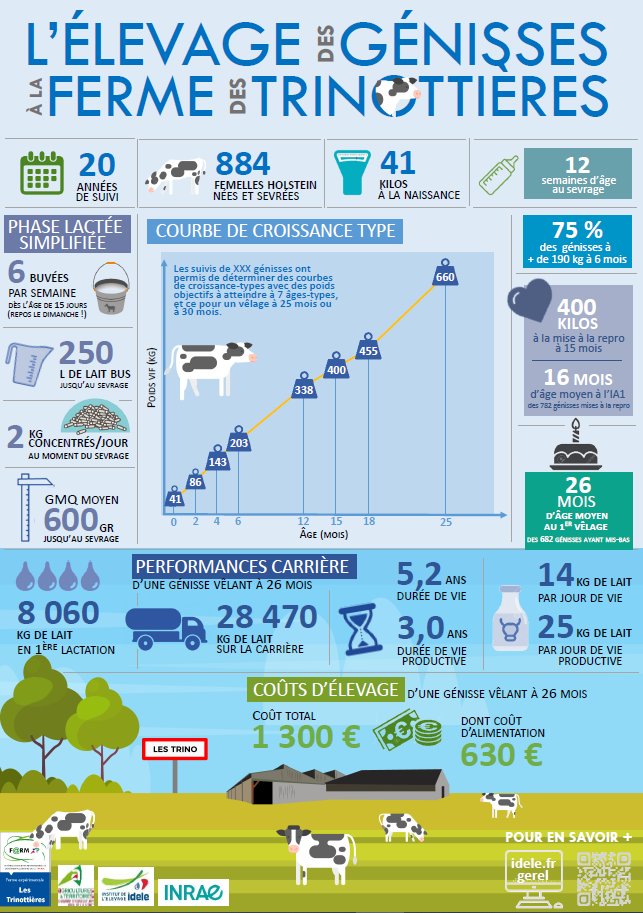 Benoît Rouillé tweet media