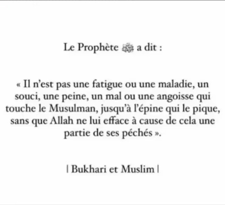Nes'🇩🇿🇩🇿 tweet media