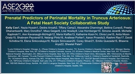 KellyCox1223's tweet photo. Excellent collaboration through the @FetalHeartSoc at @ASE360. https://t.co/yRKrfdtFnh
