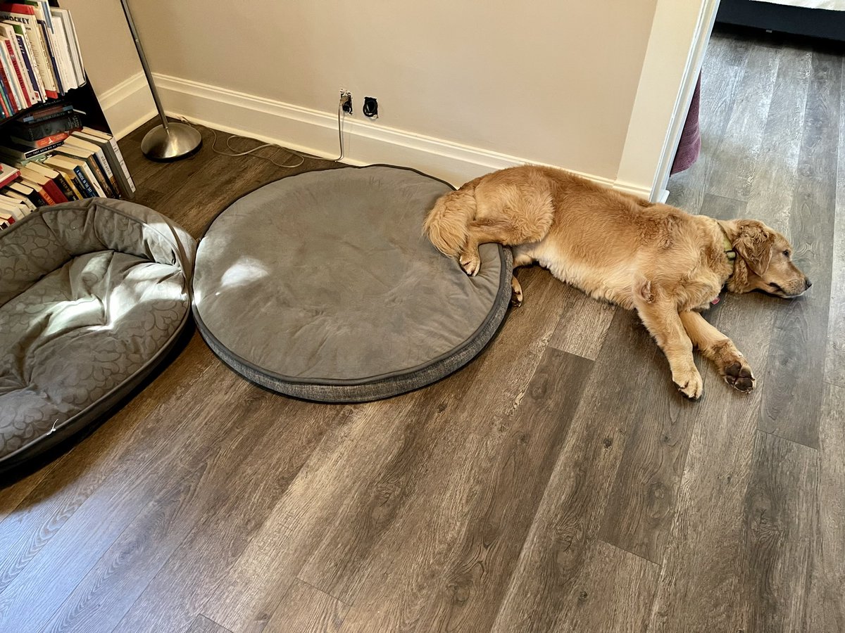 <a href="/fundraisingdogs/">fundraisingdogs</a> Fundraisers getting used to the new #CRM: “this is how we use these new tools strategically, right?”