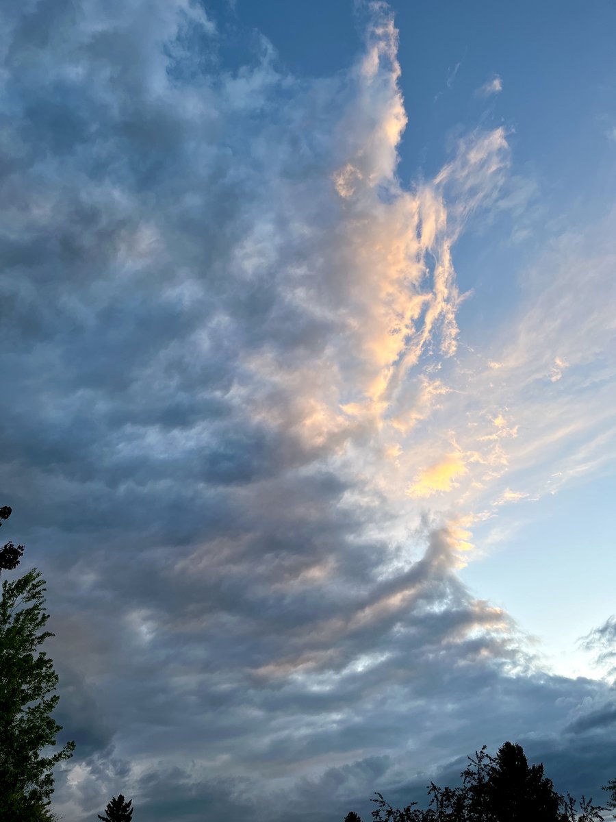 JasonKechely's tweet photo. Luscious June clouds that make me want to eat melons... #CloudMelons #MTSpring https://t.co/4lldpyUBVZ