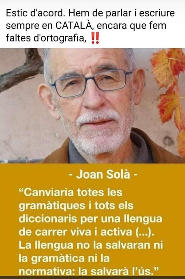 Rosa Maria Codines tweet media