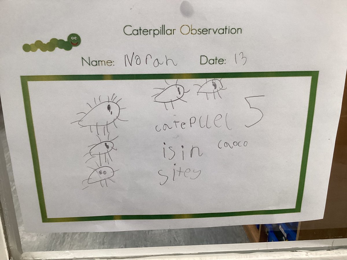 LarkHallPrimary's tweet photo. We have caterpillars 🐛! Reception children enjoyed looking at them and making notes in our observation station. #lhlondon #lhtower #lheyfs2122 #lhstu #lhuecl #knowledgeandunderstandingoftheworld #eyfs https://t.co/U1At7S0rj5