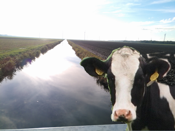 AnnyCow's tweet photo. #tdc3805 #ds106 #myFest22 Selfie with Look and the Convergence of Lines https://t.co/9on8ZDVklA