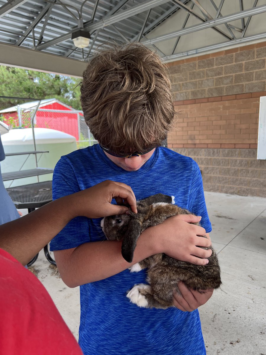 EtowahSGA's tweet photo. SomeBUNNY came to visit us @EtowahHS #CCSDTHRIVE! https://t.co/pPjTm81Rlv