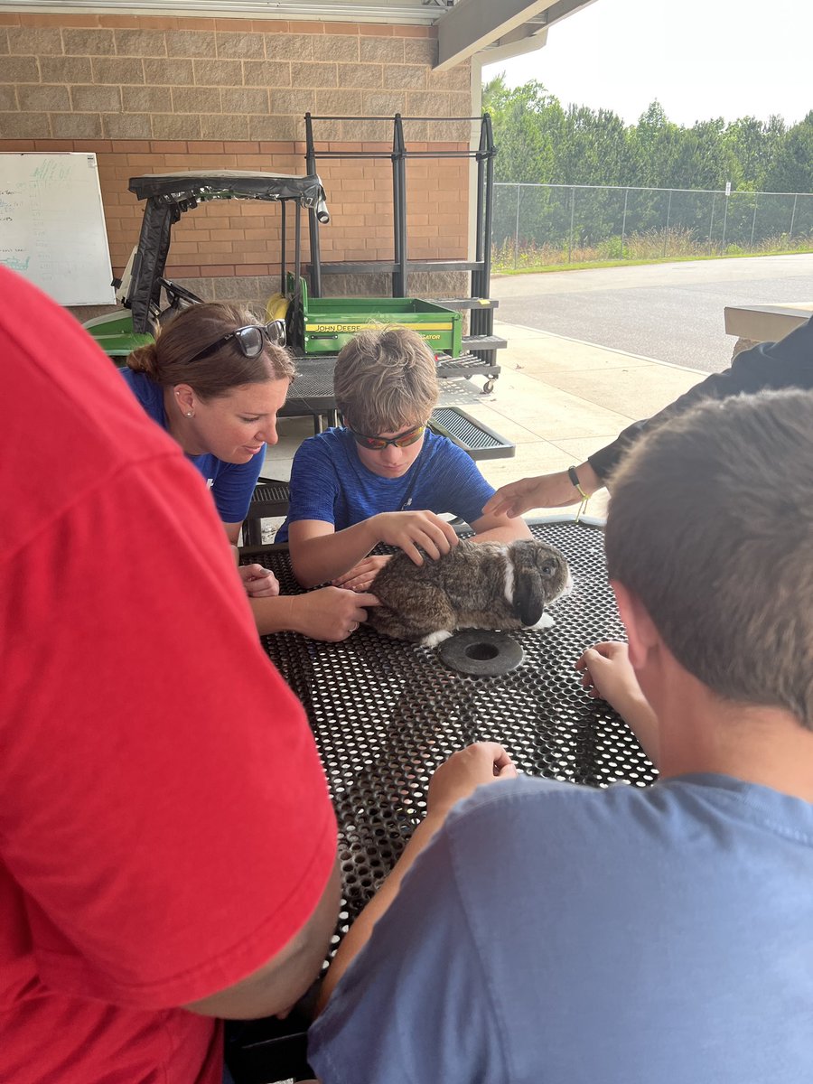 EtowahSGA's tweet photo. SomeBUNNY came to visit us @EtowahHS #CCSDTHRIVE! https://t.co/pPjTm81Rlv